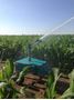 Picture of IrriCruiser MIDI Travelling Irrigator