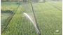 Picture of IrriCruiser MICO Travelling Irrigator