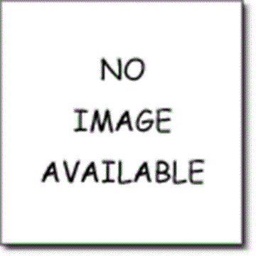 Picture of DuCaR 2" Galvanised Air Release Valve